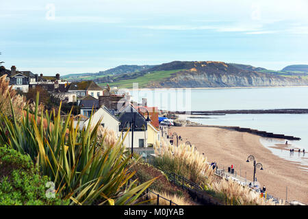 Lyme Regis Bucht mit Blick der Cob und kleine Boote im Hafen. Stockfoto