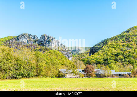 Anzeigen von Seneca Rocks aus Visitor Center im Herbst, goldgelbe Laub auf den Bäumen im Wald, Wiese wiese gras, Gebäude Stockfoto