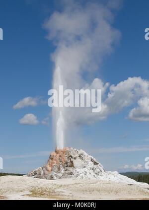 Die weißen Kuppel Geysir bricht in der Unteren Geyser Basin an der Yellowstone National Park 27. Juli 2017 in Wyoming. Stockfoto