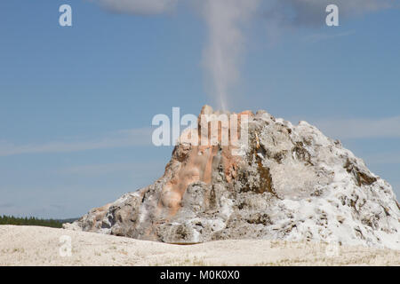 Die weißen Kuppel Geysir bricht in der Unteren Geyser Basin an der Yellowstone National Park 27. Juli 2017 in Wyoming. Stockfoto