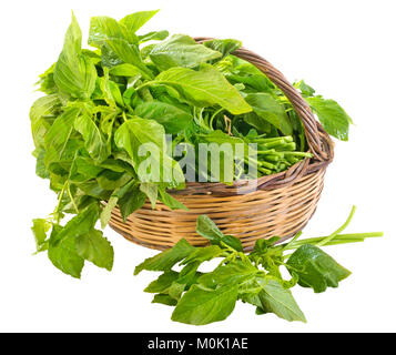 Amaranthus Blitum (+ clipping path) Stockfoto