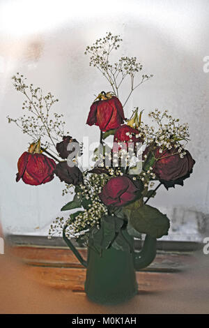 Ein Blumenstrauß verwelkt roten Rosen auf dem Hintergrund einer gefrorenen Fenster Stockfoto