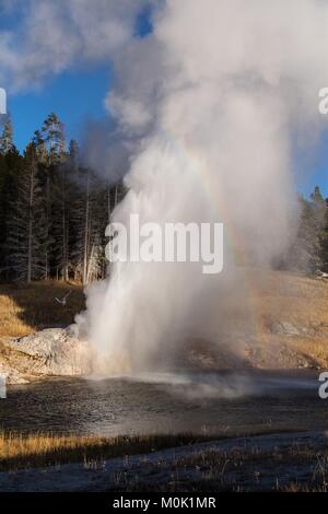 Ein Regenbogen Formen als die Riverside Geyser in der Upper Geyser Basin an der Yellowstone National Park 28. Oktober 2017 bricht in Wyoming. Stockfoto