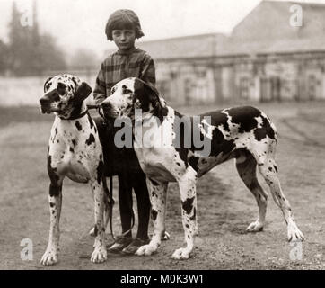 Großen Dänen an der Polizei, die Weiße Stadt, London, 1929 Stockfoto