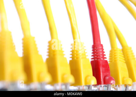 Makro close-up RJ45-Stecker rot und gelb. Konzentrieren Sie sich auf die roten Stecker. Stockfoto