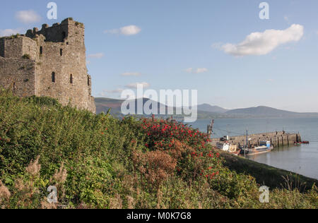 St John's Castle Carlingford, County Louth, Irland. Die normannische Burg auch als Carlingford Schloss bekannt mit Blick auf den Hafen von Carlingford Lough. Stockfoto