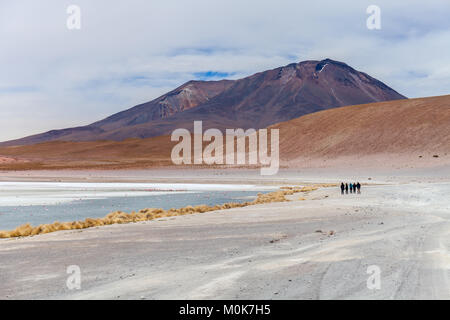 Laguna Hedionda im bolivianischen Altiplano in der Nähe des Uyuni Salzsee in Bolivien, Südamerika Foto entfernt Stockfoto