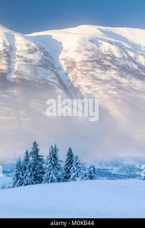 Fichten, die mit Neuschnee bedeckt sind, stehen vor einem Birkenwald, der von weißem Schnee bedeckt ist, die Berghänge des Turnagain Pass sind im Krieg... Stockfoto