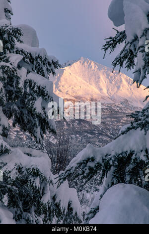 Sonnenlicht Beleuchten eines schneebedeckten Berge mit immergrünen Zweigen beladen mit Schnee, Kenai Halbinsel südlich-zentralen Alaska Stockfoto