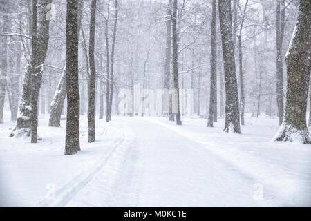 Winterlandschaft. Pfad im Park im Schnee Stockfoto