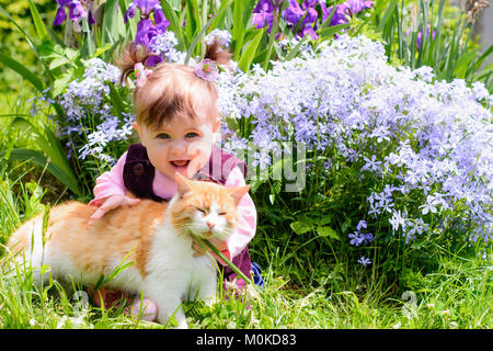 Eine schöne ukrainische Mädchen spielen auf einer Wiese mit ein Erz Katze. Super Sommer zeigt diese Schönheit Stockfoto