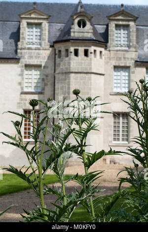 Subtile, anspruchsvoll und voller Geschmack Garten und Chateau La Chatonniere in der Nähe von Villandry. Tal der Loire Stockfoto