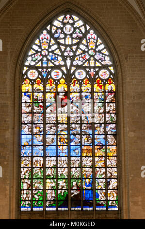 In St. Michael und Ste Gudule Kathedrale, Brüssel, Belgien Stockfoto