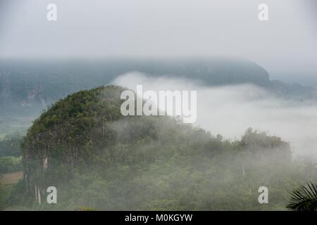 Blick über das Tal von Vinales in Kuba. Morgen in der Dämmerung und Nebel. Nebel im Morgengrauen im Tal von Vinales in Pinar del Rio, Stockfoto