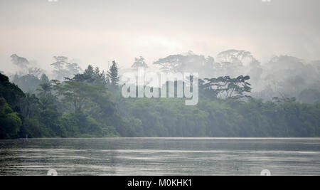 Sangha Fluss. Morgennebel auf dem Afrikanischen Fluss Sangha. Kongo. Afrika Stockfoto