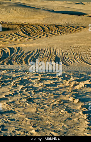 Zementierte Gipssandkruste und gekrümmte Grate, Überreste von Dünen, die weggeblasen wurden, Sonnenuntergang, White Sands National Park, New Mexico, USA Stockfoto