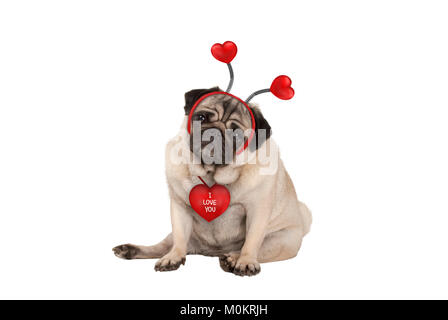 Niedlich Valentine's Tag mops Welpe Hund, hinsetzen, das Tragen von Herzen Diadem, auf weißem Hintergrund Stockfoto