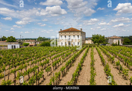 Blick auf großes Haus und Reihen von Reben wachsen in einem Weinberg, Saint-Emilion, eine französische Gemeinde im Département Orne in Nouvelle-Aquitaine Südwesten Frankreich Stockfoto