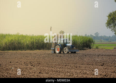 Maschine Zuckerrohr in tropischem Klima. Stockfoto