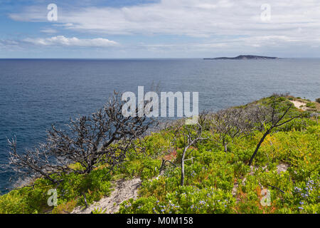 Die Küstenlandschaft rund um die Blowholes, Albany, Western Australia Stockfoto