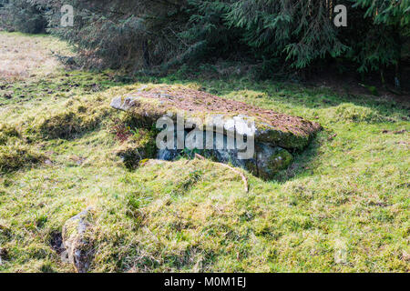 Alte "Cairn" in der Nähe von Bellever Tor, Daartmoor, Devon, UK, bestehend aus einem kist mit 3 Seiten und ein Schlussstein. Stockfoto