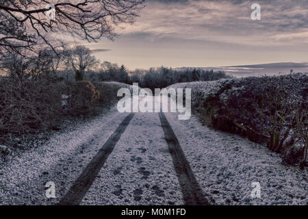 Nach einem starken Schneefall ein Fahrzeug hinterlässt Spuren im Schnee, unten ein Feldweg in Howden Le Verschleiß, County Durham in den frühen Morgen. Stockfoto