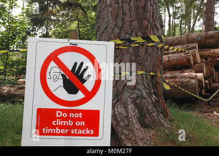 Gesundheit und Warnschild Warnung vor der Gefahr des Kletterns auf Stapel von neu Schnittholz Stockfoto