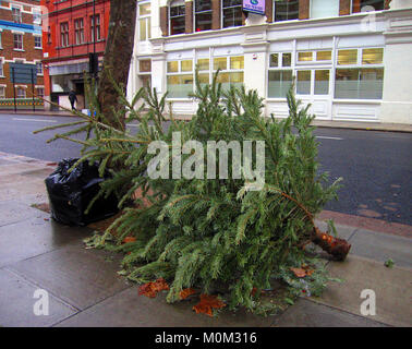 Verworfen Weihnachtsbaum in London, England, Großbritannien Stockfoto