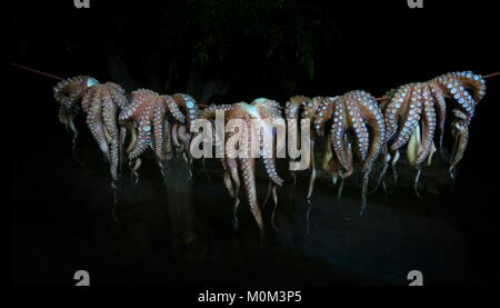 Octopus aufgehängt in Rhodos, Griechenland zu trocknen Stockfoto