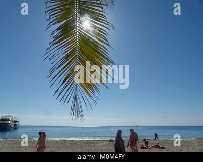 Strand goers Spaziergang unter Kokospalme (Cocos nucifera) Zweig Stockfoto