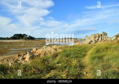 Frankreich, Cotes d'Armor, Cote d'Ajoncs, Pleubian, Pors Scaff Cove, Aufstellungsort der Gouffre Stockfoto