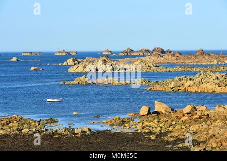 Frankreich, Cotes d'Armor, Cote d'Ajoncs, Pleubian, Pors Scaff Cove Stockfoto