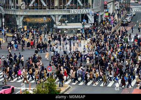 Japan, Honshu Island, Region Kanto, Tokio, Shibuya, Shibuya Kreuzung Stockfoto
