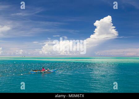 Philippinen, Palawan, Roxas, grüne Insel Bucht, Johnson, Insel, man kümmert sich um seine seaweed Farm Stockfoto