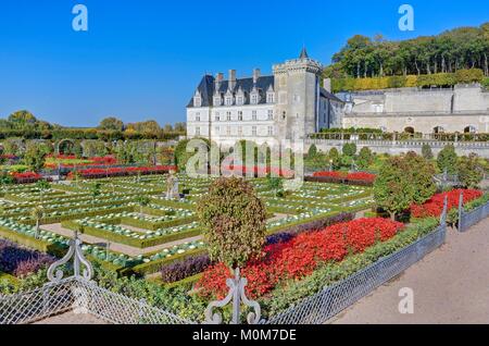 Frankreich, Indre et Loire, Loire Tal als Weltkulturerbe der UNESCO, das Schloss und die Gärten von Villandry Eigentum von Angélique und Henri Carvallo Stockfoto