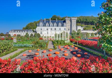 Frankreich, Indre et Loire, Loire Tal als Weltkulturerbe der UNESCO, das Schloss und die Gärten von Villandry Eigentum von Angélique und Henri Carvallo Stockfoto