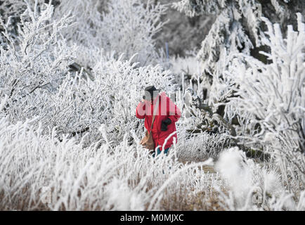 Schmitten, Deutschland. 14 Jan, 2018. Ein Wanderer ist, unter Bäumen und Sträuchern, die im Raureif bedeckt sind, auf den Großen Feldberg im Taunus, Schmitten, Deutschland, 14. Januar 2018. Credit: Arne Dedert/dpa/Alamy leben Nachrichten Stockfoto