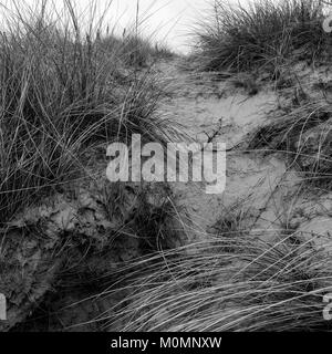 Deutsche Bunker, Leffrinckoucke Batterie bleibt, Dünkirchen, Nord, Frankreich Stockfoto