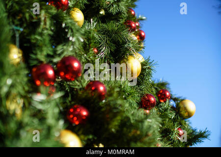 Goldene und rote Kugeln auf einem großen Weihnachtsbaum außerhalb an einem sonnigen Tag vor einem blauen Himmel. Stockfoto