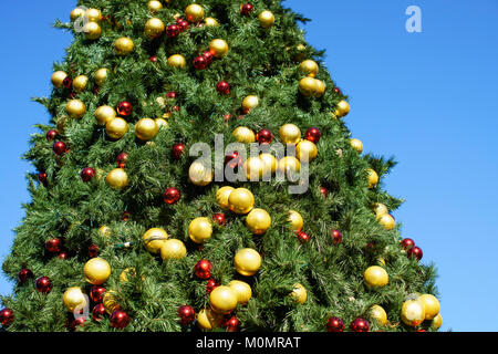 Goldene und rote Kugeln auf einem großen Weihnachtsbaum außerhalb an einem sonnigen Tag vor einem blauen Himmel. Stockfoto