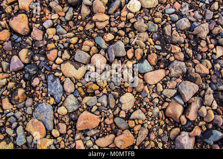 Kieselsteine am Strand. Pebbles Hintergrund. Natürliche bunte Kieselsteine Hintergrund Stockfoto