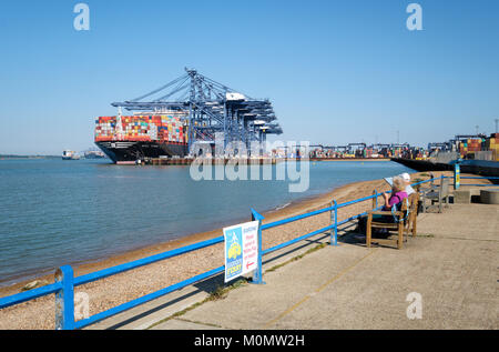 MSC (Mediterranean Shipping Company) Containerschiff MSC Tina in den Hafen von Felixstowe, England, UK entladen Stockfoto