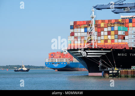 MSC (Mediterranean Shipping Company) Containerschiff MSC Tina in den Hafen von Felixstowe, England, UK entladen Stockfoto