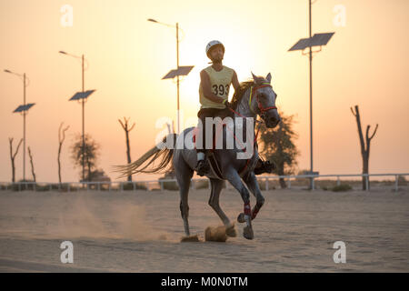 Eine athletische Fahrer in einem Rennen konkurrieren in der Wüste bei Sonnenuntergang. Dubai, VAE. Stockfoto