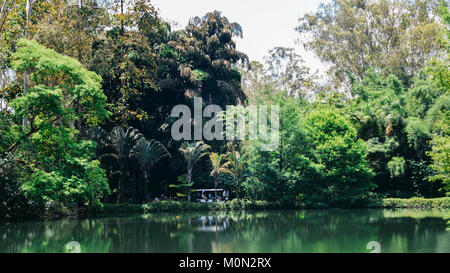 Inhotim Institut ist ein Museum für zeitgenössische Kunst und dem Botanischen Garten, Minas Gerais, Brasilien - Wahre Rouge by Tunga Stockfoto