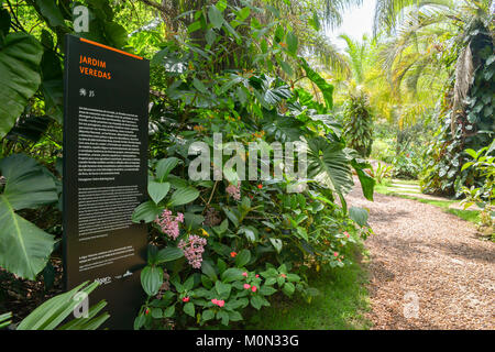 Inhotim Institut ist ein Museum und das Museum für zeitgenössische Kunst sowie einen botanischen Garten im Brumadinho im brasilianischen Bundesstaat Minas Gerais entfernt Stockfoto