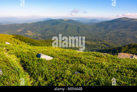 Fußweg durch grasigen Hang mit Felsbrocken. schönen Sommer Landschaft in den Bergen Stockfoto