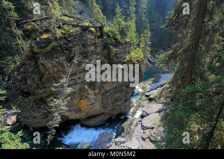 Johnston Creek, Johnston Canyon, Rocky Mountains, Banff National Park, Alberta, Kanada. Stockfoto