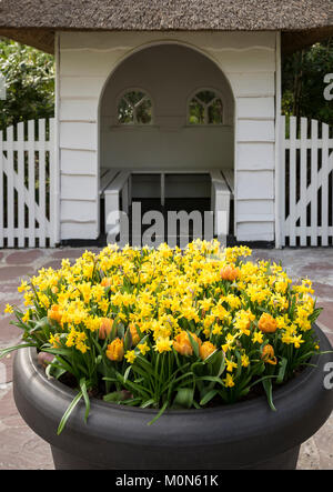 Tulpenbeete im Keukenhof Keukenhof Niederlande - Niederlande Stockfoto