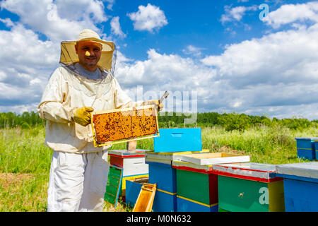 Imker ist zufrieden mit Lage im Bienenvolk, holding Wabe voll mit Honig auf hölzernen Rahmen geschlossen. Stockfoto